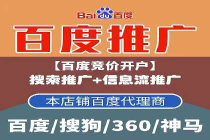 百度竞价优化技巧：成功案例分享